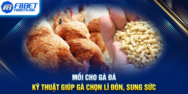 Mồi cho gà đá